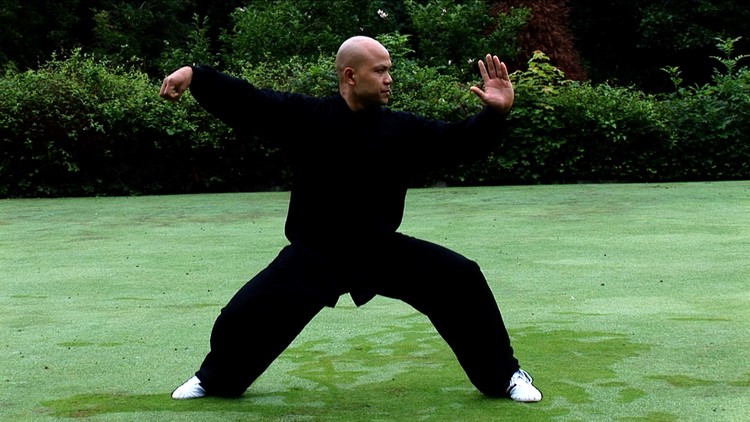 Tai Chi Chen Style 